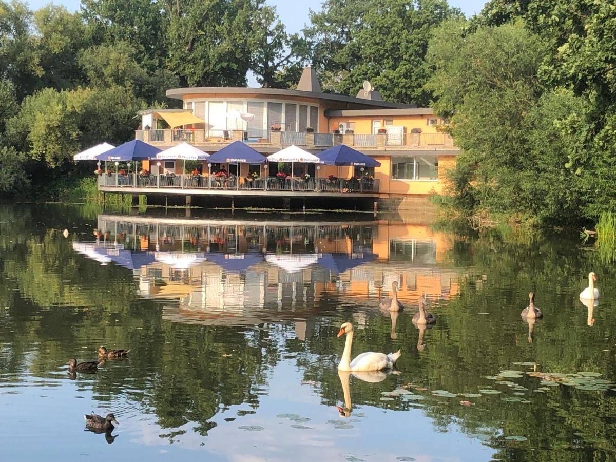 Pension Am See Torgau Luaran gambar